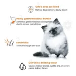 10pcs 15g/Stripe Cat Strips Pet Snacks Various Flavors Nutritious Protein - Image 4