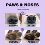 Dog Nose and Paw Balm Pet Feet Moisturizer Anti-dry Cream Pets - Image 4