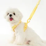 Adjustable Dog Harness Collar Leash Set Macarone Color - Image 3